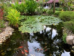 Eastern Lagoon (D15), Condominium #591346421